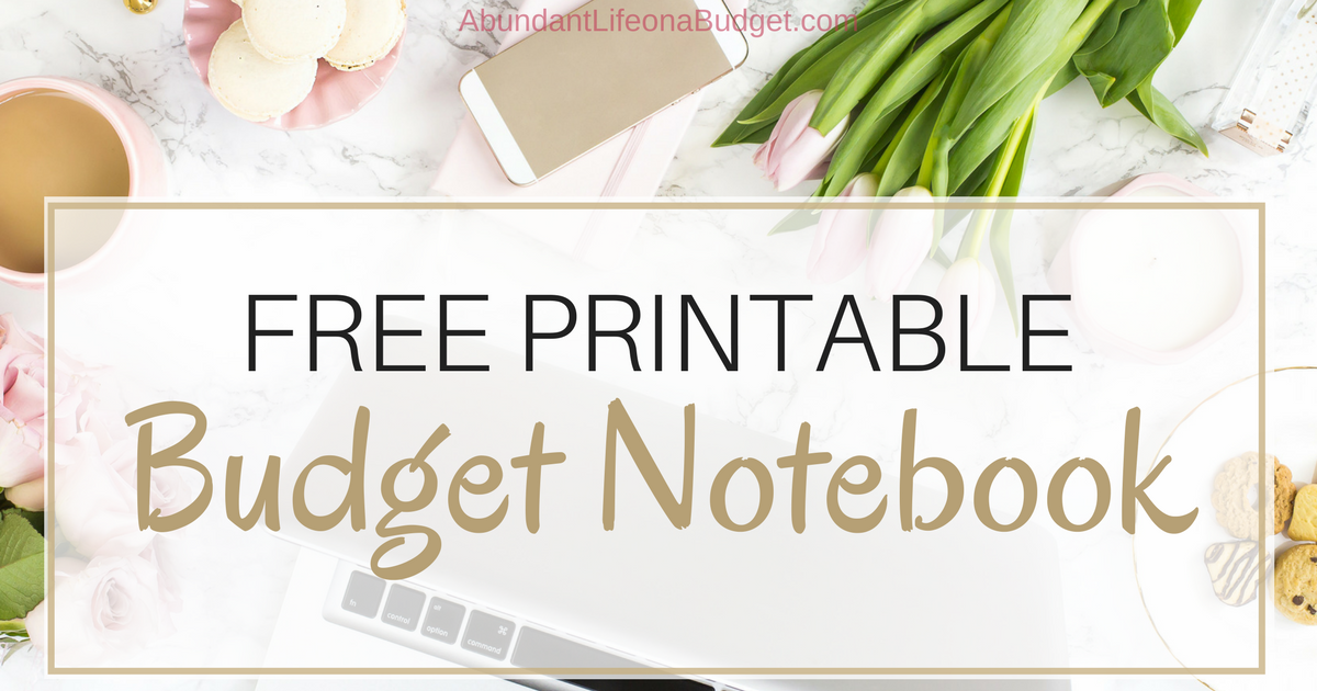FREE Printable Budget Notebook:  The Secret Strategy to Organize Your Money